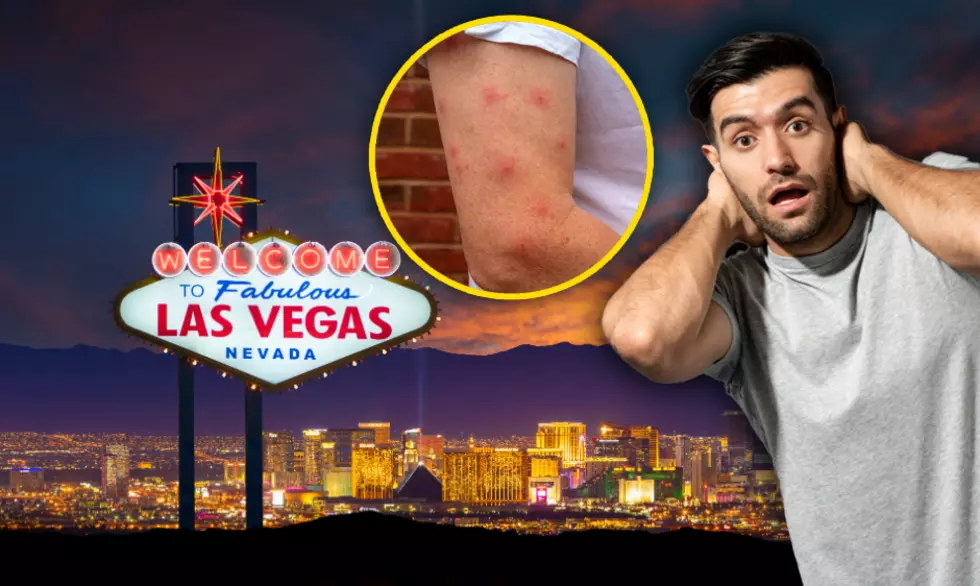 Deadly Virus Hits Las Vegas: Utah Braces for Potential Outbreak